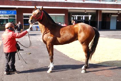 �Ƴʽ����� ����