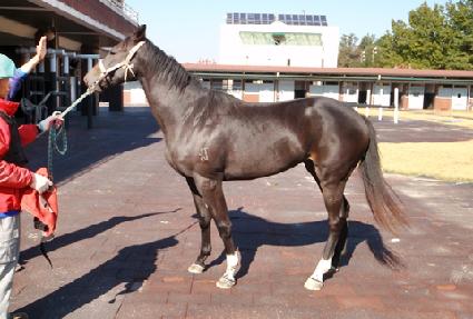 �ö��׷ѽ� ����