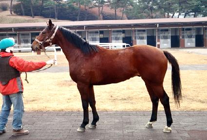 ����Ƚ�ī�� ����