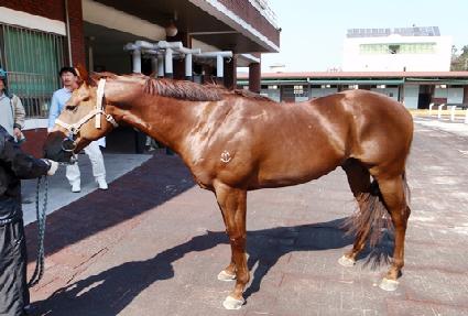 Ȳ�ݱ��� ����