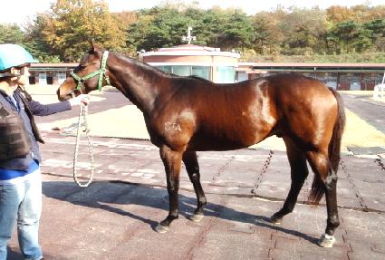 �õ���־� ����