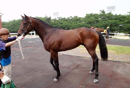 ����Ű�� ����