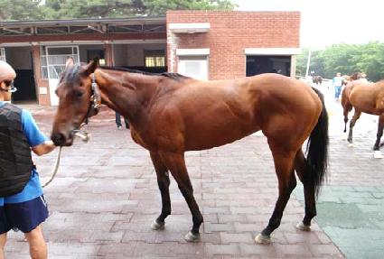 ��ó���� ����