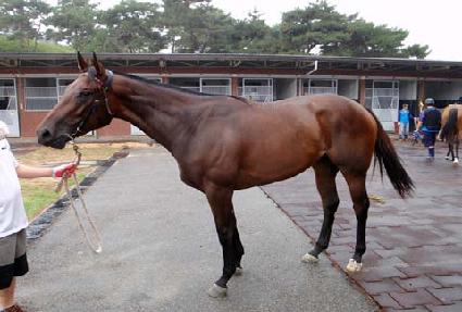 ������� ����