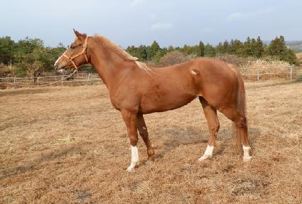 ��ȭ�� ����