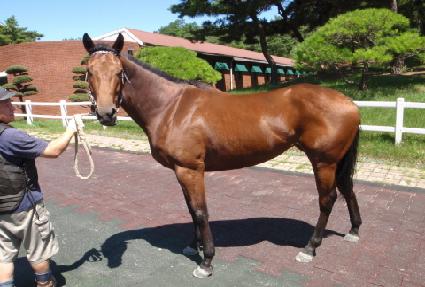 �ε��ȣ�� ����