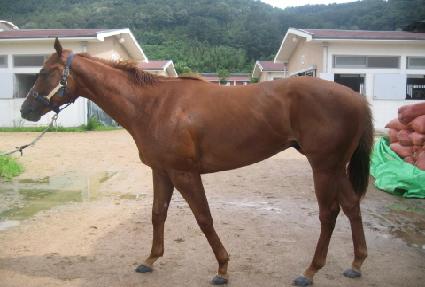 �տ��̺��̺� ����