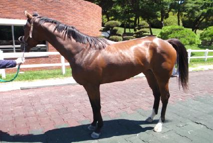 �ʿ��Ǻ� ����