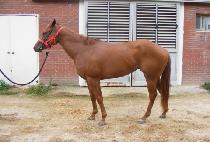 ���귯�� (LIB LOVE) ����