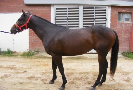 �︸���� ����