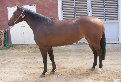 �ø��Ʈ ����