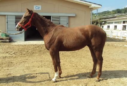 ��Ʈ���÷ξ� ����