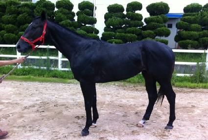 �������� ����