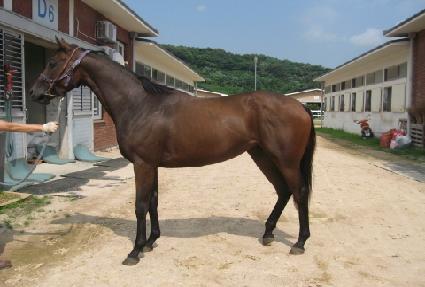 �ٶ��� ����