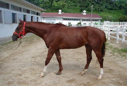 ��Ű���ǵ� ����