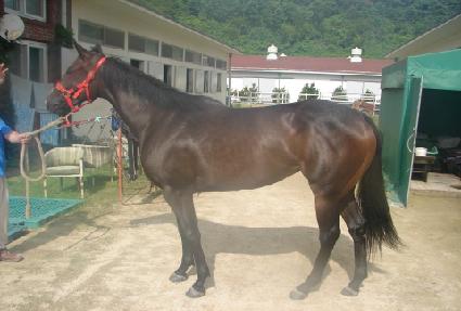 �ݵ��¸� ����