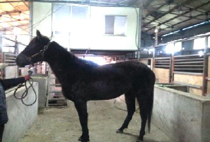 ���̵�� ����