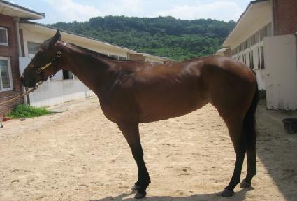 ����¡���̽� ����