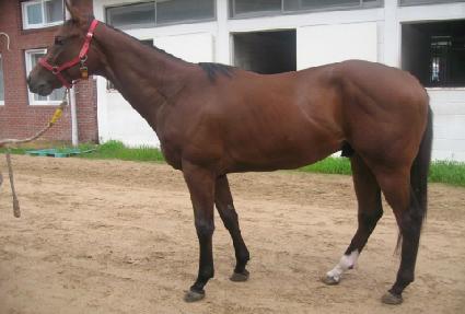 ŷ����Ÿ�̰� ����