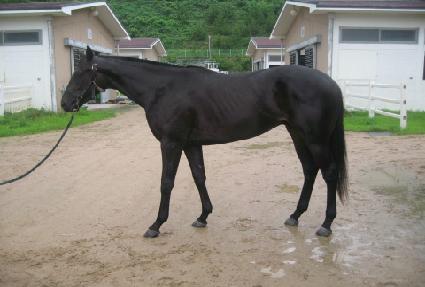 �׷�����ü� ����