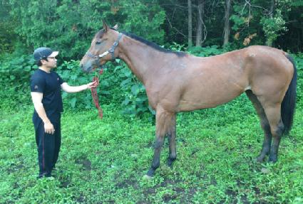 Ʈ���Ǵ��� ����