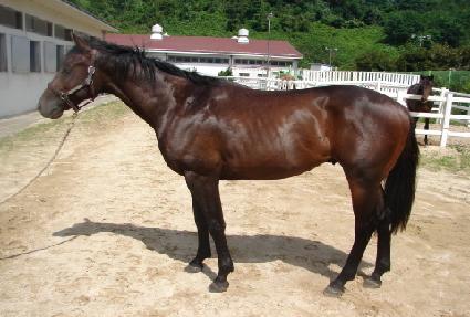 �ְ������� ����