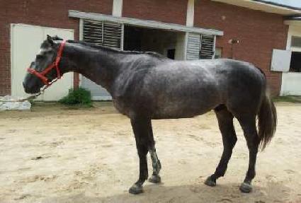 ������ī�캸�� ����