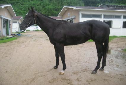 ��ƼǮ�÷��̽� ����