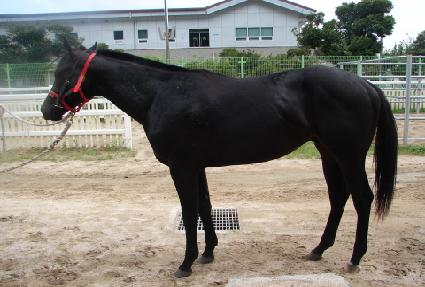 �������÷� ����