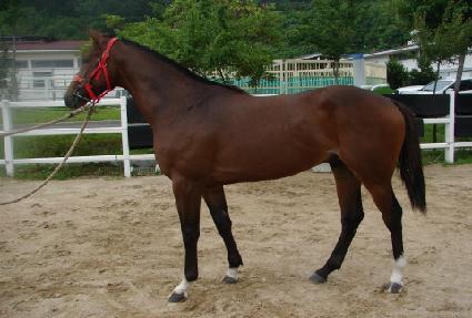 ���׿��� ����