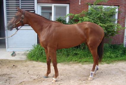 �庸�� ����