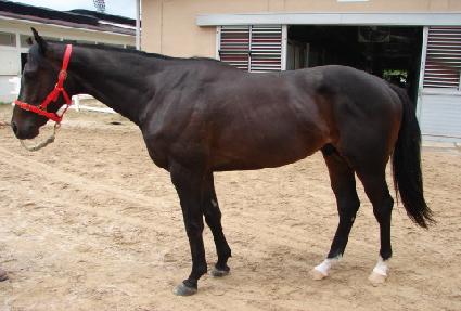 ����ŷ�� ����