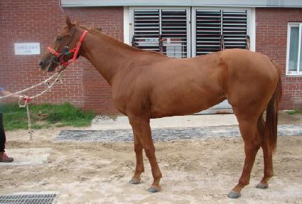 Ʈ�������� ����