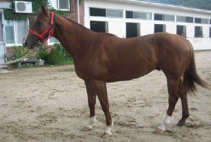 ������ ����