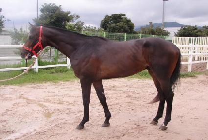 ������ ����