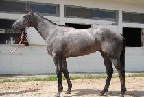 �ŵ𽼸��� (MADISON RICHELLE) ����