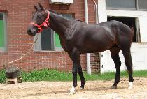 ���°�ȣ (YEONSEUNG GANGHO) ����