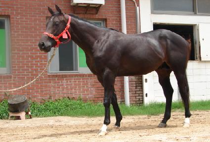 ���°�ȣ ����