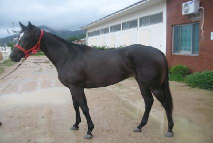 Į�� ����