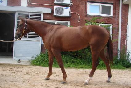 �ε�ī ����