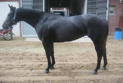 �ǹ�Ŭ���� ����