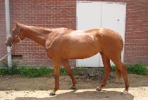 ��ũ������ (SECRET WINNER) ����