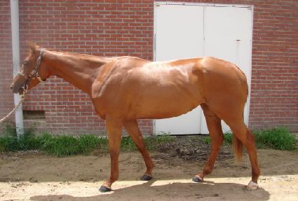 ��ũ������ ����