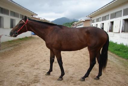 ����� ����