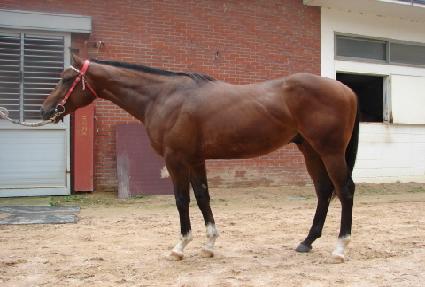 ��±�ǳ ����