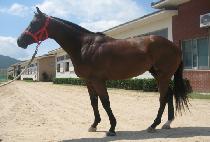 �۰��� (SONGGANGJEONG) ����