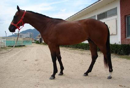 ��Ʈ�������� ����