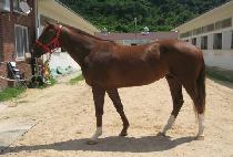 �̽��Ϳ��� (MR. WHY) ����