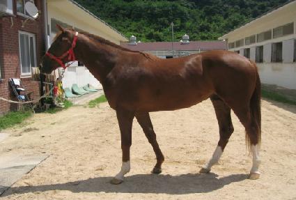 �̽��Ϳ��� ����