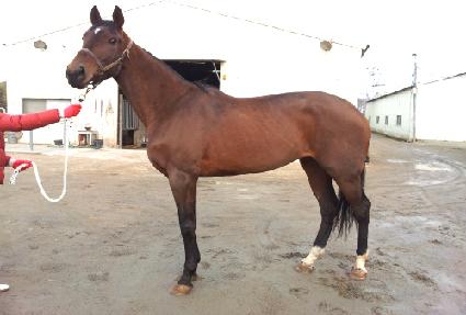 ��¿��̽� ����